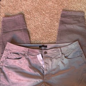 Ann Taylor grey velvet like pants size 16